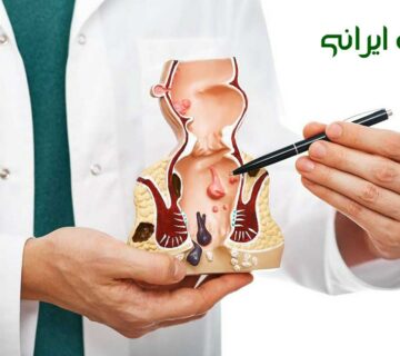 برگ سنا