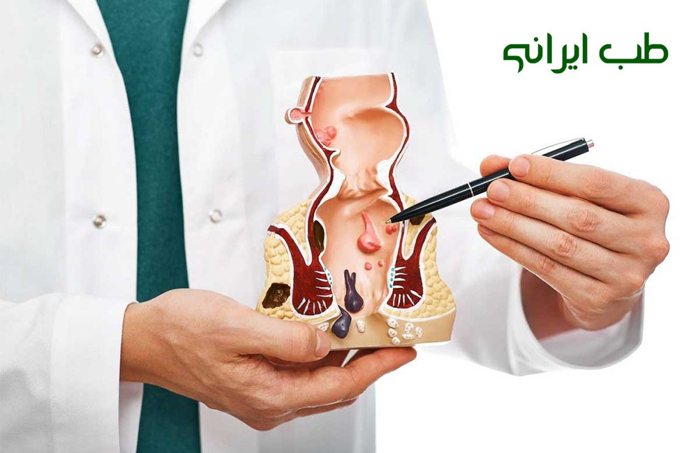 برگ سنا