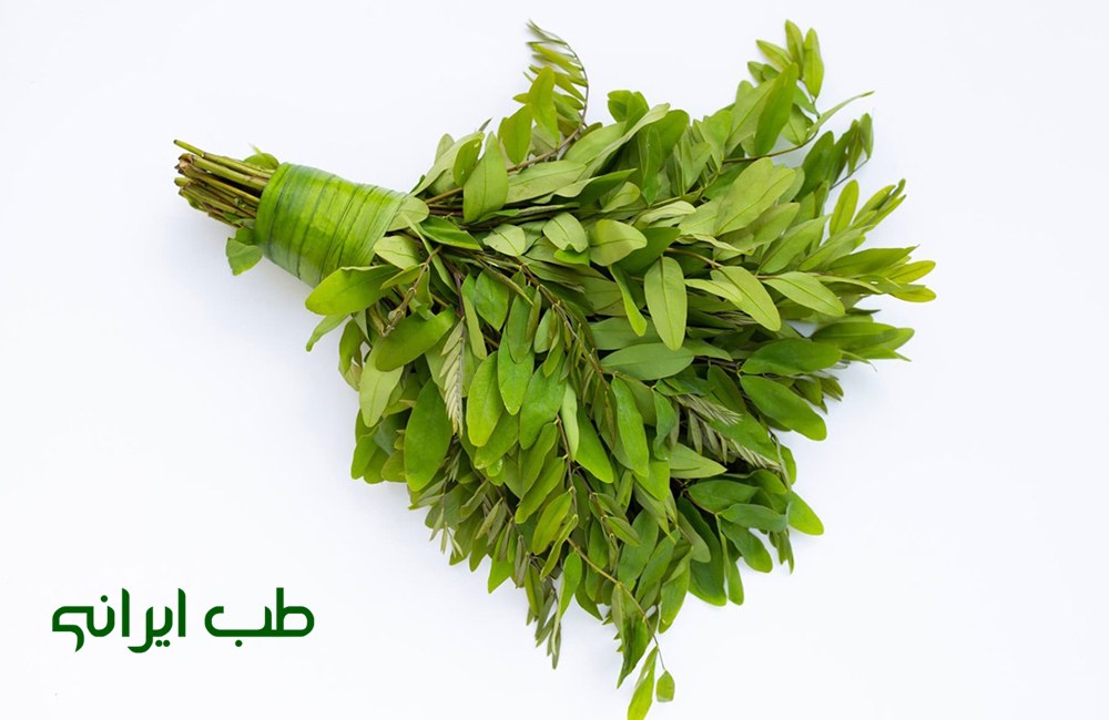 برگ سنا برای یبوست