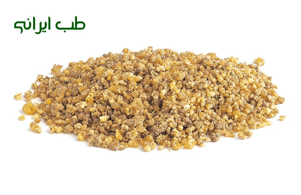 ترنجبین